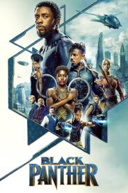 Black Panther (2018) Sinhala Subtitles | සිංහල උපසිරසි සමඟ