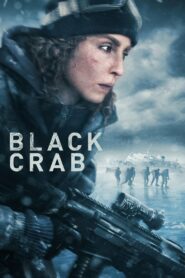 Black Crab (2022) Sinhala Subtitles | සිංහල උපසිරසි සමඟ