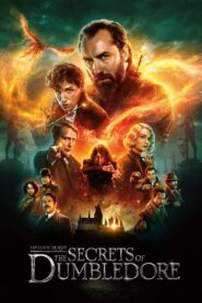 Fantastic Beasts: The Secrets of Dumbledore (2022) Sinhala Subtitles | සිංහල උපසිරසි සමඟ