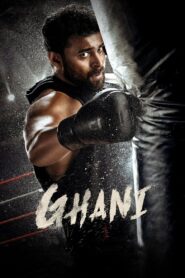 Ghani (2022) Sinhala Subtitles | සිංහල උපසිරසි සමඟ