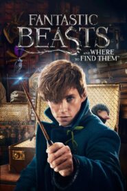 Fantastic Beasts and Where to Find Them (2016) Sinhala Subtitles | සිංහල උපසිරසි සමඟ