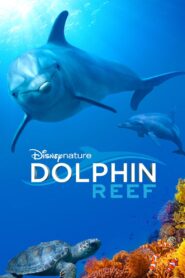 Dolphin Reef (2018) Sinhala Subtitles | සිංහල උපසිරසි සමඟ