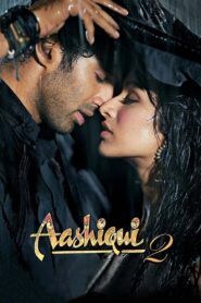 Aashiqui 2 (2013) Sinhala Subtitles | සිංහල උපසිරසි සමඟ