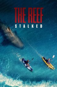 The Reef: Stalked (2022) Sinhala Subtitles | සිංහල උපසිරසි සමඟ