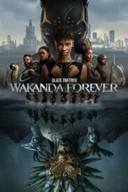 Black Panther: Wakanda Forever (2022) Sinhala Subtitles | සිංහල උපසිරසි සමඟ