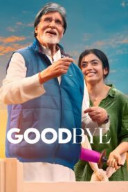 Goodbye (2022) Sinhala Subtitles | සිංහල උපසිරසි සමඟ