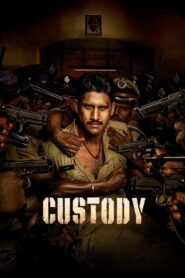 Custody (2023) Sinhala Subtitles | සිංහල උපසිරසි සමඟ