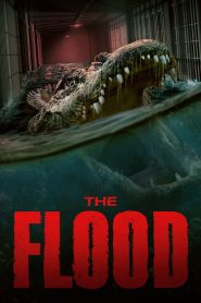 The Flood (2023) Sinhala Subtitles | සිංහල උපසිරසි සමඟ