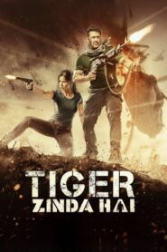 Tiger Zinda Hai (2017) Sinhala Subtitles | සිංහල උපසිරසි සමඟ