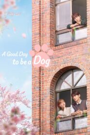 A Good Day to be a Dog: Season 1
