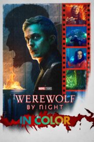 Werewolf by Night (2022) Sinhala Subtitles | සිංහල උපසිරසි සමඟ