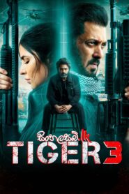 Tiger 3 (2023) Sinhala Subtitles | සිංහල උපසිරසි සමඟ