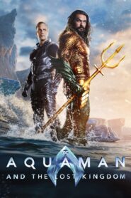 Aquaman and the Lost Kingdom (2023) Sinhala Subtitles | සිංහල උපසිරසි සමඟ
