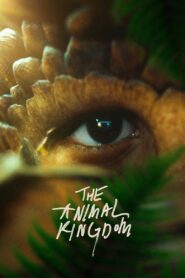 The Animal Kingdom (2023) Sinhala Subtitles | සිංහල උපසිරසි සමඟ
